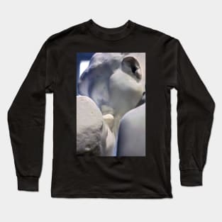 The Kiss (close-up) Long Sleeve T-Shirt